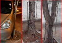 Não basta cuidar. Tem que proteger!