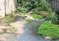 A FREGUESIA ESTÁ FEDENDO ….MUITO