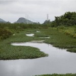 Acabou a mordomia da CEDAE. Receber sem prestar serviço!