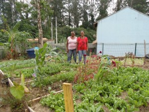 Feiras Orgânicas e Agroecológicas