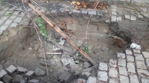 Francisca_Sales_01_18022016