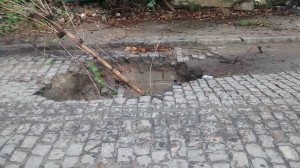 Francisca_Sales_03_18022016