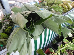 Mudança de hábitos