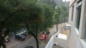 Francisca_Sales_01_29022016