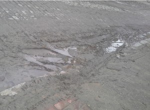 Francisca_Sales_03_29022016