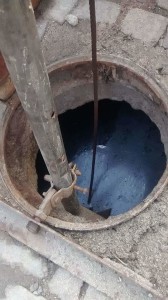 Francisca_Sales_31032016_05