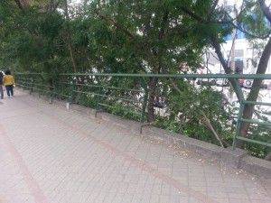 Grades_Gabinal_20072016_2