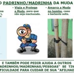 O que faz  a “MADRINHA ou PADRINHO” das mudas de árvores plantadas nas calçadas da nossa Cidade?