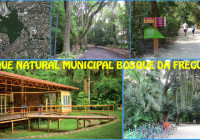 NOSSOS PARQUES: Tão belos, tão desconhecidos-1 Parque Ambiental Municipal Bosque da Freguesia