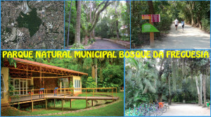 Nossos Parques 1_Bosque da Freguesia