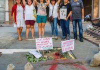 Crime Ambiental na Freguesia (Jacarepaguá) – Maio/2017