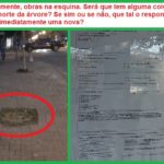 Mais uma árvore eliminada das nossas calçadas! Novamente na Três Rios e agora no número 677.