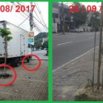 Vale a pena lutar em grupo organizado contra aquilo que a gente acha injusto. As mudas na Três Rios 677 agora estão ótimas e protegidas!