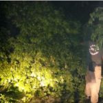 Quem ama, cuida! Parabéns aos GMs do Bosque!