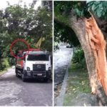 Olha o que dá uma poda mal feita! Até a Comlurb que é a responsável pela poda sofreu a consequência.