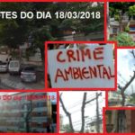 Quem é a pessoa que mandou podar as árvores sem autorização na Três Rios 199?
