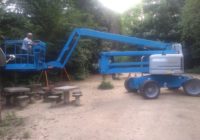 As ervas daninhas estão sendo combatidas no nosso Bosque!