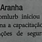 Será que é por isso que a Comlurb faz poda irregular das nossas árvores?