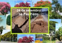 Plantio das 180 mudas. A FPJ continua fazendo sua parte. E você cuida das mudas?