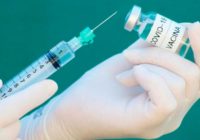 Vacina contra o Covid-19: o que sabemos até agora?