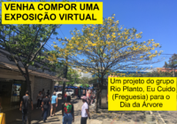 CHAMADA PARA EXPOSIÇÃO VIRTUAL DE FOTOS DA FREGUESIA EM HOMENAGEM AO DIA DA ÁRVORE 2021