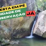 Floresta em Pé Jacarepaguá: trilha em 07 de agosto!