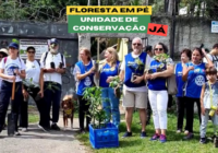 Floresta em Pé Jacarepaguá: Trilha e plantio de mudas no Morro Mata-Cavalo
