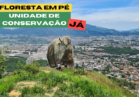 Trilha para Pedra do Urubu – Campanha Floresta em Pé Jacarepaguá