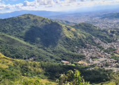 Saiu na imprensa a Ação Civil Pública do abandono do Parque Nacional da Tijuca!