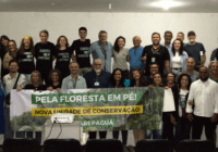 Consulta pública realizada! Um passo da campanha Floresta em Pé Jacarepaguá!